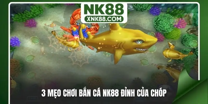 3 mẹo chơi bắn cá NK88 đỉnh của chóp