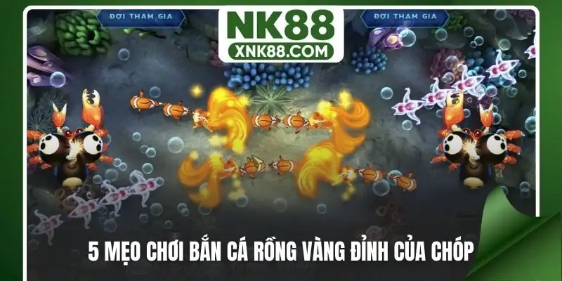 5 mẹo chơi bắn cá rồng vàng đỉnh của chóp