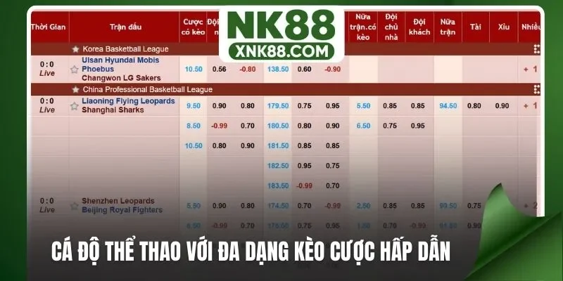 Cá độ thể thao với đa dạng kèo cược hấp dẫn