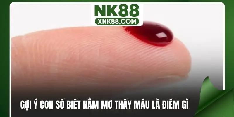 Gợi ý con số biết nằm mơ thấy máu là điềm gì