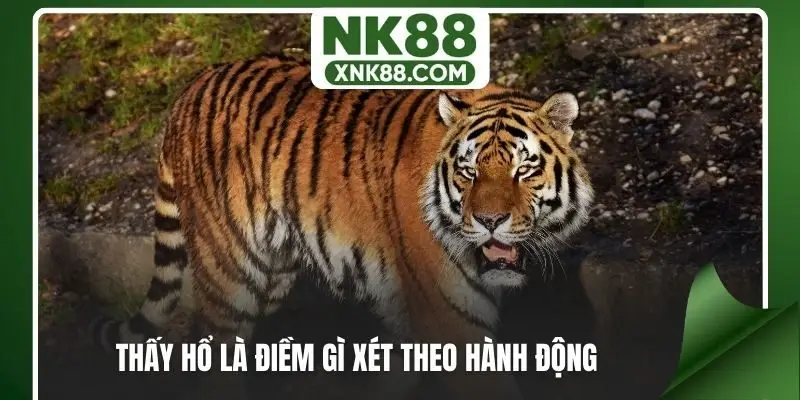 Khi nằm mơ thấy hổ là điềm gì xét theo hành động