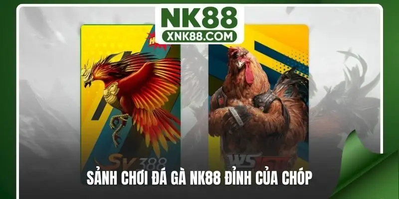 3 sảnh chơi đá gà NK88 đỉnh của chóp