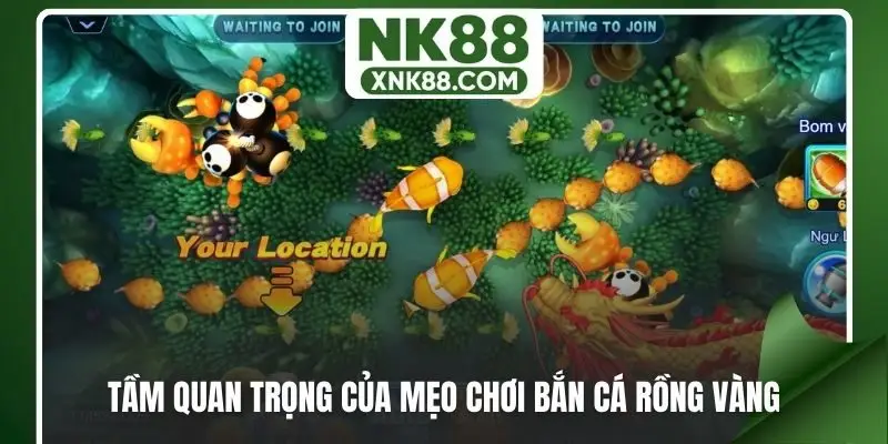 Tầm quan trọng của mẹo chơi bắn cá rồng vàng